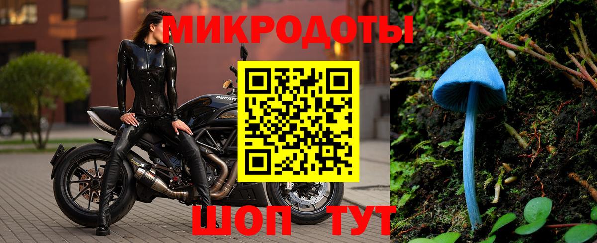 Псилоцибиновые грибы Psilocybe  Вход с VPN  Люберцы 
